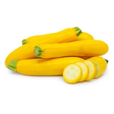 URJA YELLOW HYBRID - ZUCCHINI F-1 HYBRID SEEDS