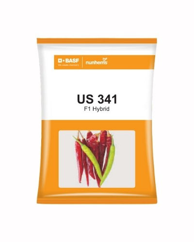 US 341 CHILLI SEEDS