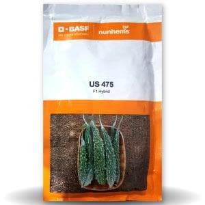 US 475 BITTER GOURD SEEDS ( यू एस 475 करेला )