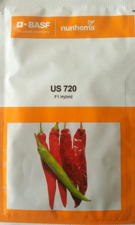 US 720 CHILLI SEEDS