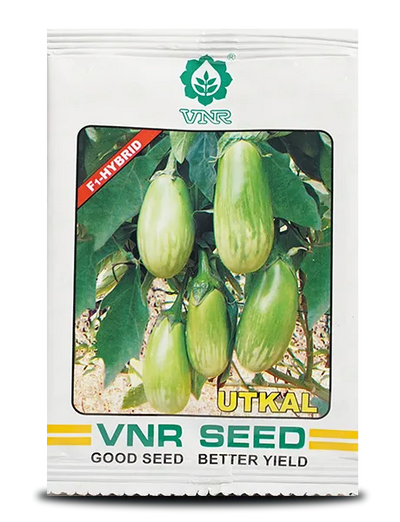 Utkal F1 Hybrid Brinjal Seeds