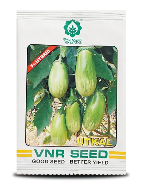 Utkal F1 Hybrid Brinjal Seeds