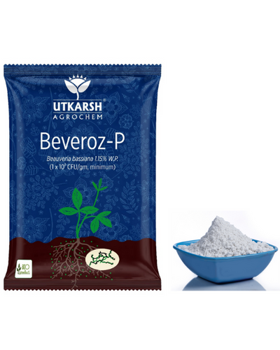 UTKARSH BEVEROZ-P (BEAUVERIA BASSIANA 1.15% W.P. 1 X 10^8 CFU/GM MIN.) BIO INSECTICIDE