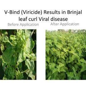 COMBO OFFER: VANPROZ V-BIND (BIO VIRICIDE) + IMUEN (GROWTH PROMOTER)