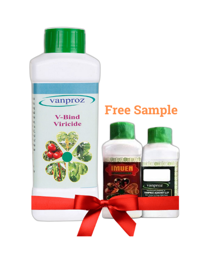 Buy V Bind & Get Vanproz Imuen - FREE