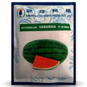 VASUDHA WATER MELON