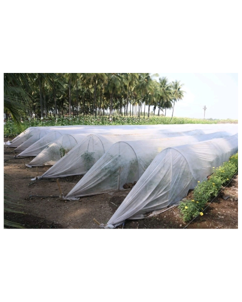 VEDANT CROP COVER 17 GSM