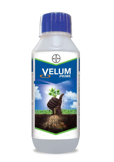 Velum Prime Nematicide