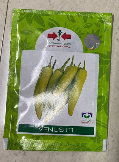 VENUS F1 CHILLI