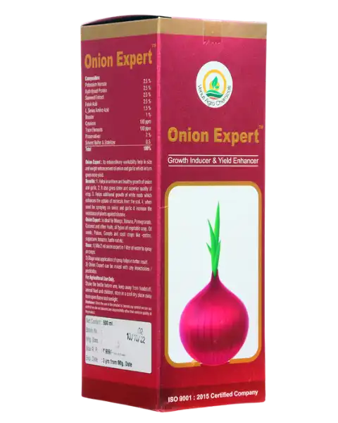 VENUS ONION EXPERT