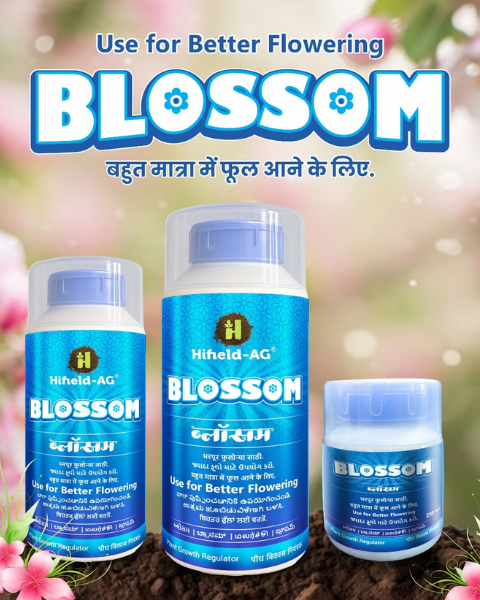Hifield Blossom Growth Regulator