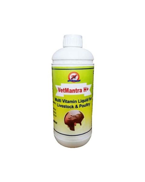 VETMANTRA H+VITAMINS AND SUPPLIMENT FOR CATTLE AND DAIRY ANIMALS