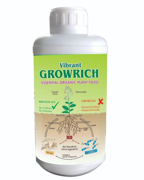 VIBRANT GROWRICH