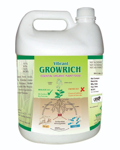 VIBRANT GROWRICH