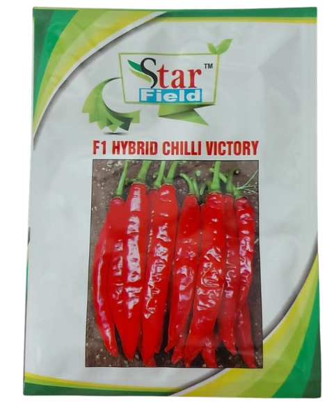 VICTORY CHILLI