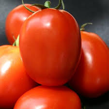 VIRANG TOMATO