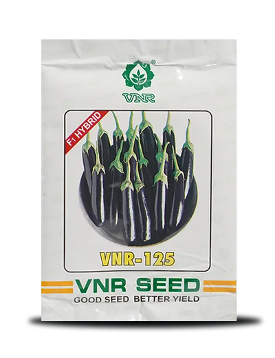 125 F1 Hybrid Brinjal Seeds