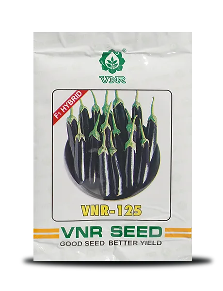 125 F1 Hybrid Brinjal Seeds