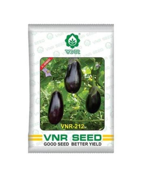 212 F1 Hybrid Brinjal Seeds