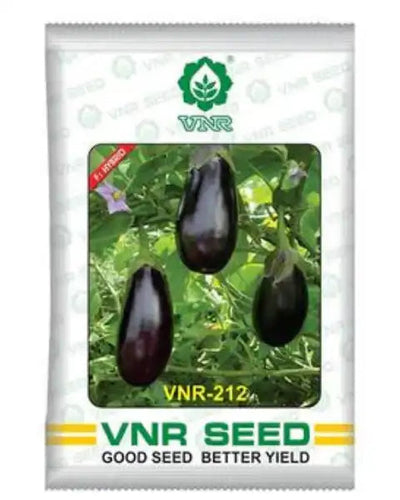 212 F1 Hybrid Brinjal Seeds