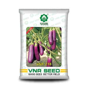 218 F1 Hybrid Brinjal Seeds