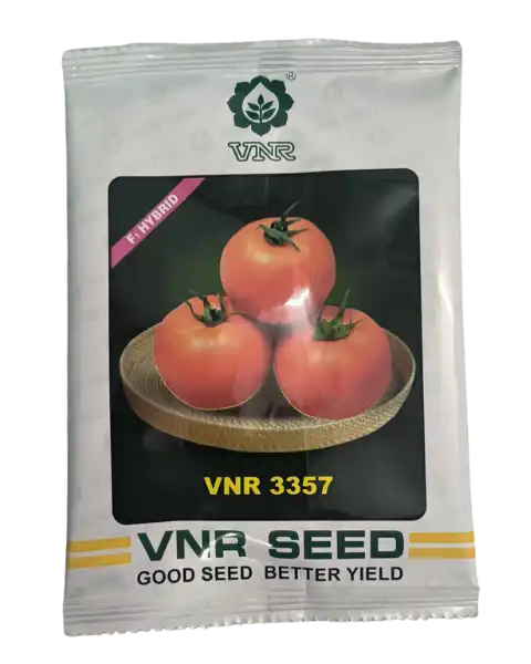 3357 F1 Hybrid Tomato Seeds