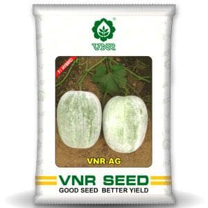 AG F1 Hybrid Ash Gourd Seeds