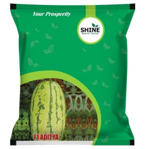 SHINE WATER MELON ADITYA F1 HYBRID SEEDS