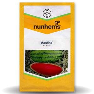 ASTHA WATERMELON SEEDS (आस्था तरबूज)