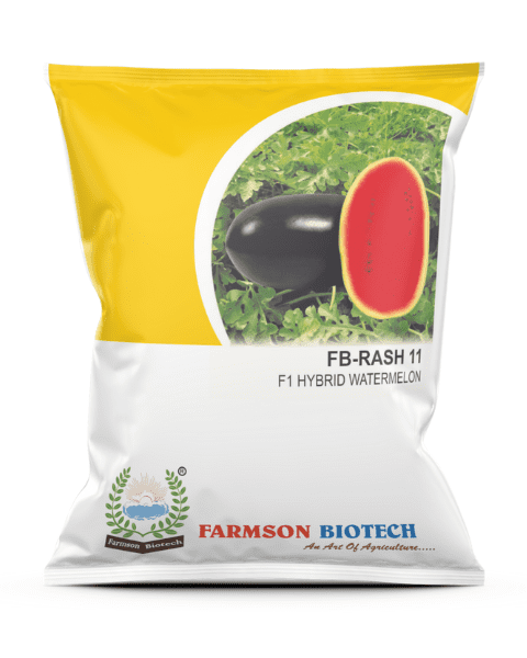 FARMSON WATERMELON F1 FB RASH11 (RED, OVAL) SEEDS