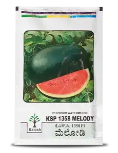 MELODY F1 WATERMELON (KSP 1358)