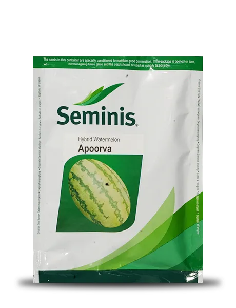 APOORVA WATERMELON ( अपूर्वा तरबूज )