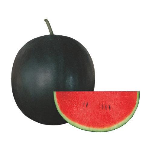 URJA US-888 - WATERMELON F-1 HYBRID SEEDS