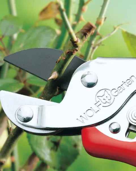 WOLF GARTEN ANVIL SECATEURS (RS-EN) 19MM CUT