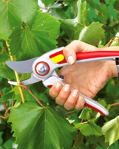 WOLF GARTEN BYPASS SECATEURS ALU-PROFESSIONAL (RR 5000) 25MM CUT