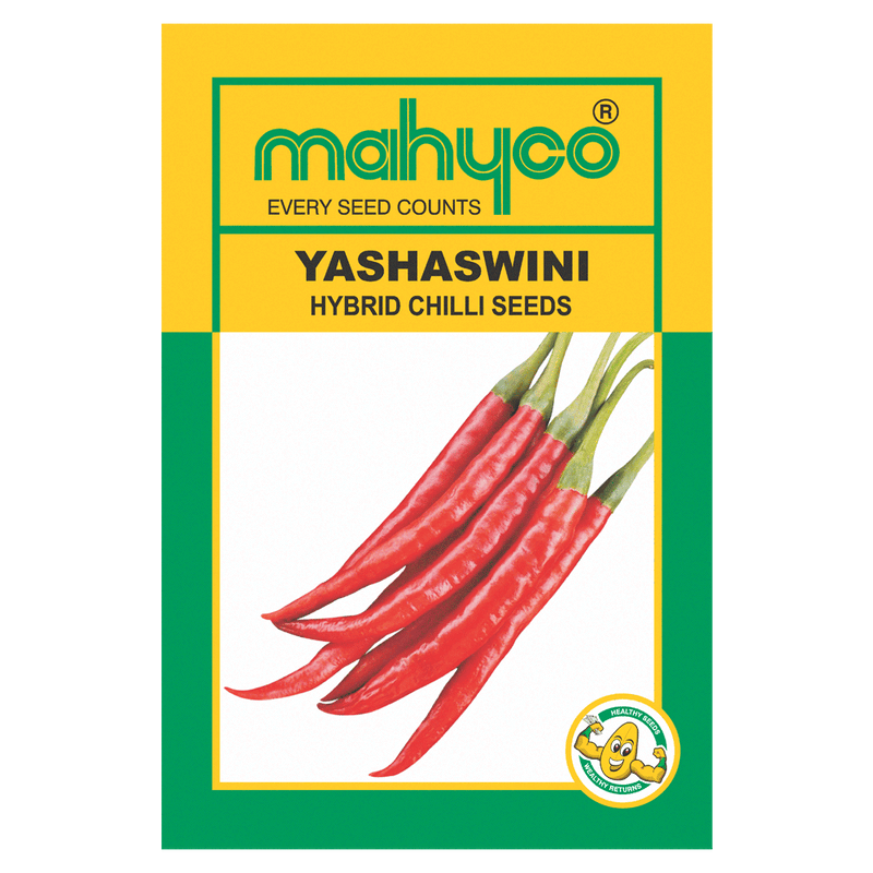 YASHASWINI CHILLI