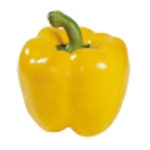 YELLOW QUEEN CAPSICUM SEEDS