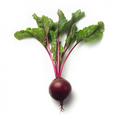 ZEPPO RZ F1 (13-30) BEETROOT