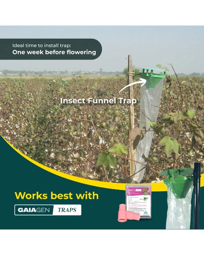 GAIAGEN PHEROMONE LURE FOR PINK BOLLWORM