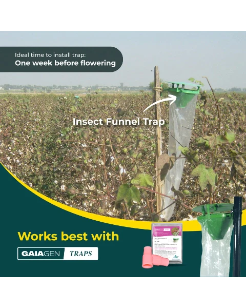 GAIAGEN PHEROMONE LURE FOR PINK BOLLWORM