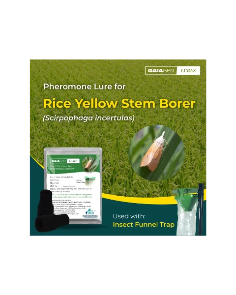 GAIAGEN PHEROMONE LURE FOR RICE YELLOW STEM BORER