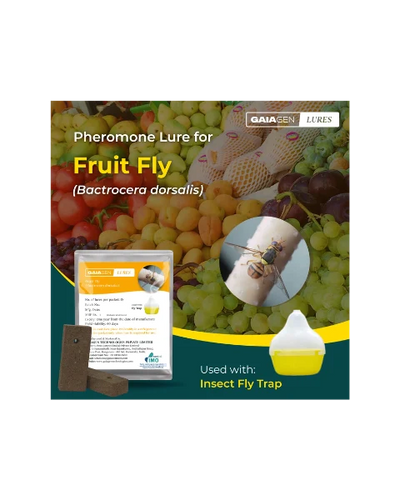 GAIAGEN PHEROMONE LURE FOR FRUIT FLY