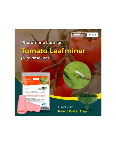 GAIAGEN PHEROMONE LURE FOR TOMATO LEAFMINER