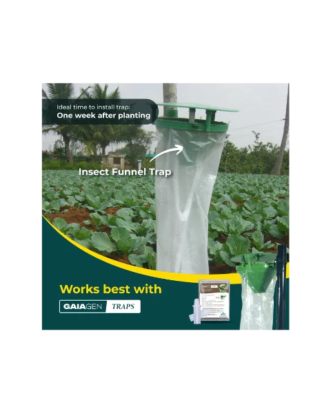 GAIAGEN PHEROMONE LURE FOR TOBACCO CATERPILLAR