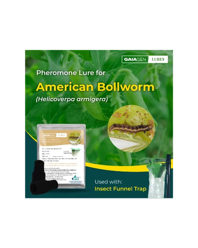 GAIAGEN PHEROMONE LURE FOR AMERICAN BOLLWORM