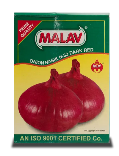 MALAV NASIK RED ONION SEEDS N-53