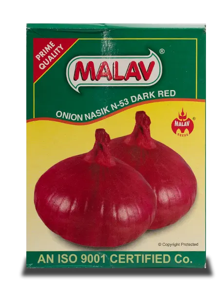 MALAV NASIK RED ONION SEEDS N-53