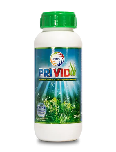 PRIVID SEAWEED EXTRACT