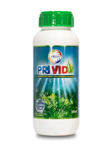 PRIVID SEAWEED EXTRACT