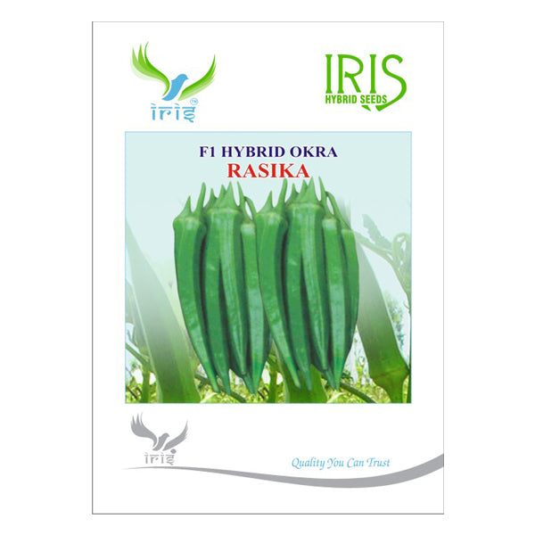 IRIS HYBRID VEGETABLE SEEDS OKRA RASIKA